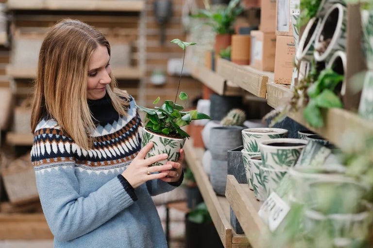 Christmas with RHS Plants
