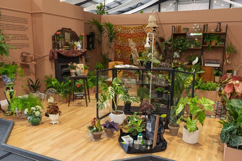 Houseplants: A Long View by Midrib Plants
