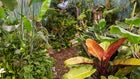 Thumbnail for slide 2