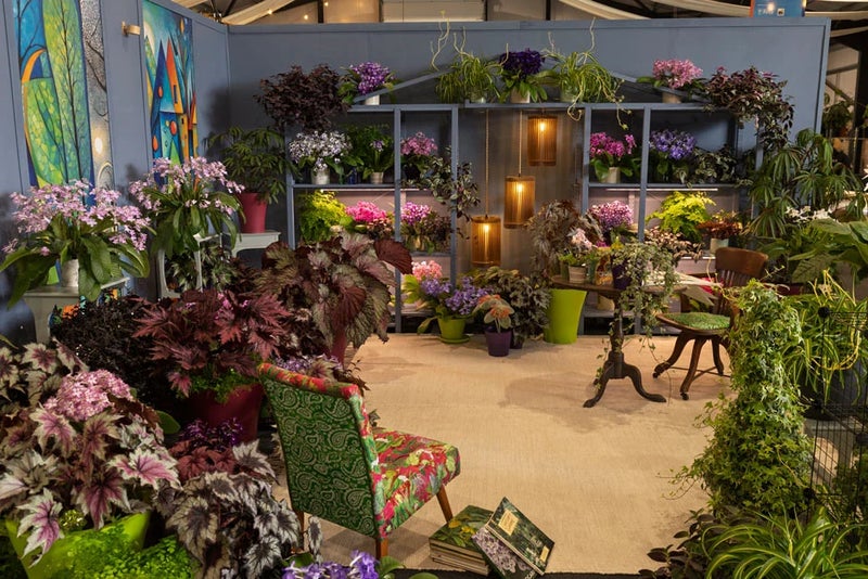Dibleys’ Modern Garden Room: Engaging Colour and Texture by Lynne Dibley