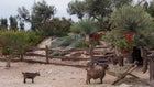 Thumbnail for slide 3