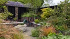 Thumbnail: A garden with plants and a bench