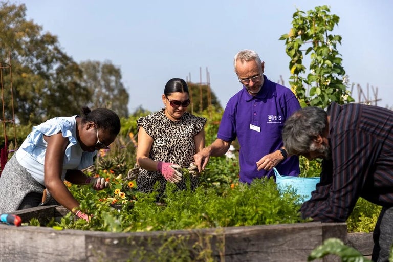 Help RHS Bridgewater grow
