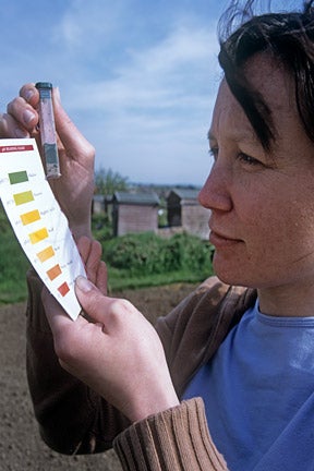 Chalky soils | RHS Advice