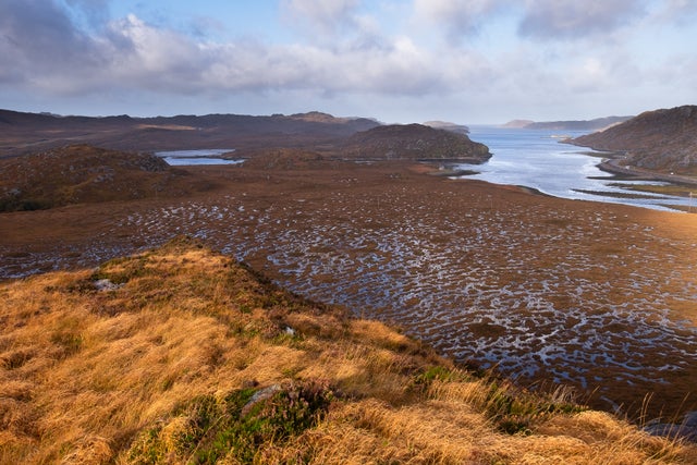Why peatlands are so important for the climate