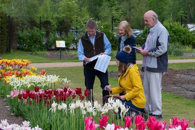 Learn more about RHS Plant Trials and Awards