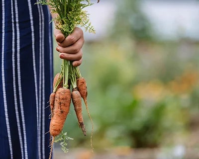 Learn how to grow your own