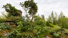 Thumbnail for slide 3