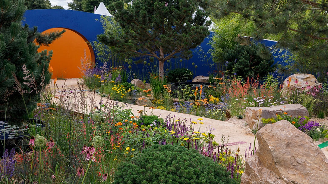 A garden with a tree and a stone path
