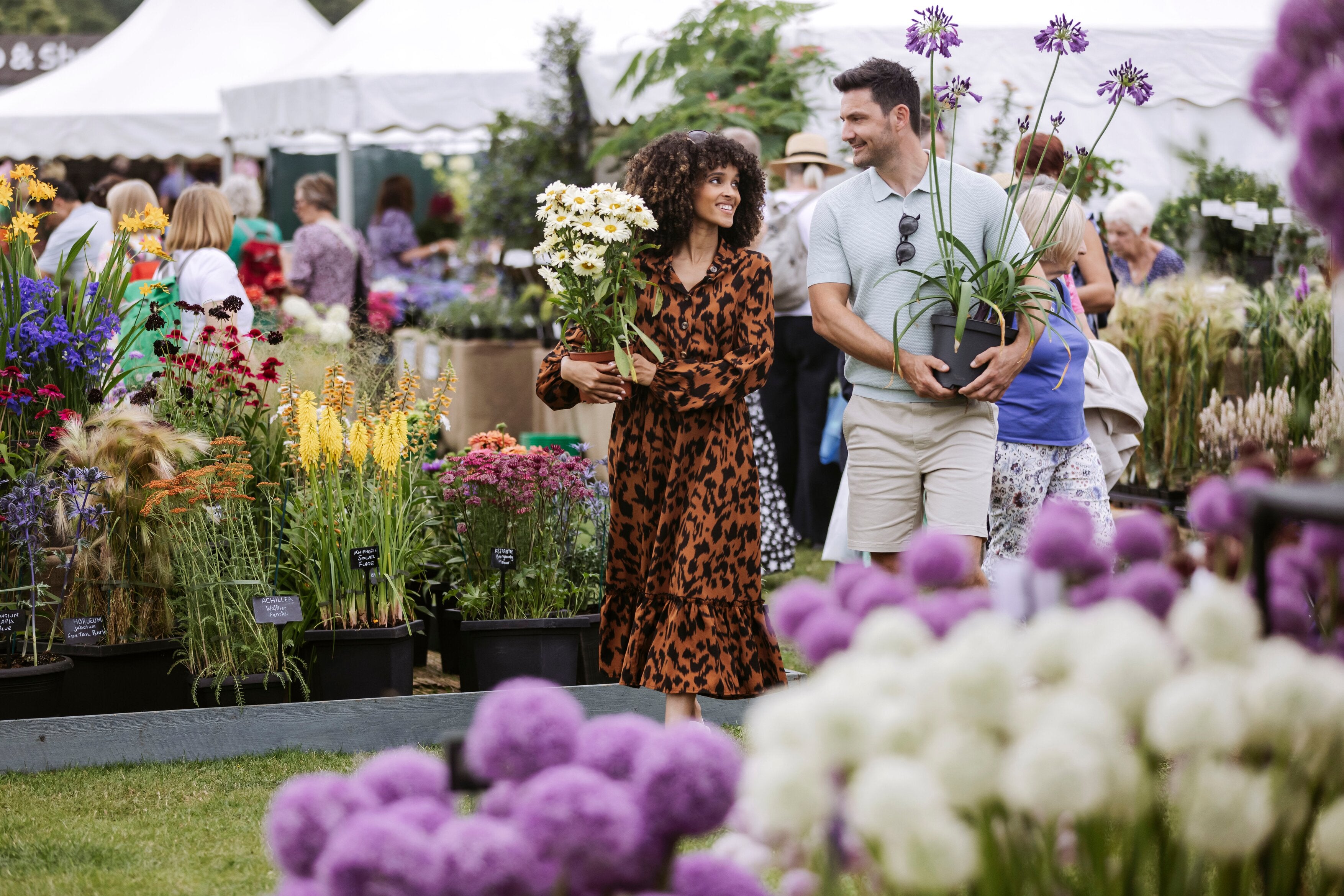RHS Tatton Park 2027