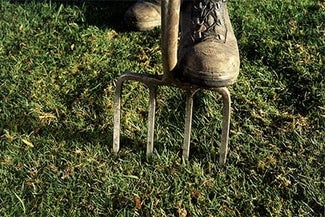 Lawn Care in Autumn | RHS Advice Lawn Care in Autumn | RHS Advice