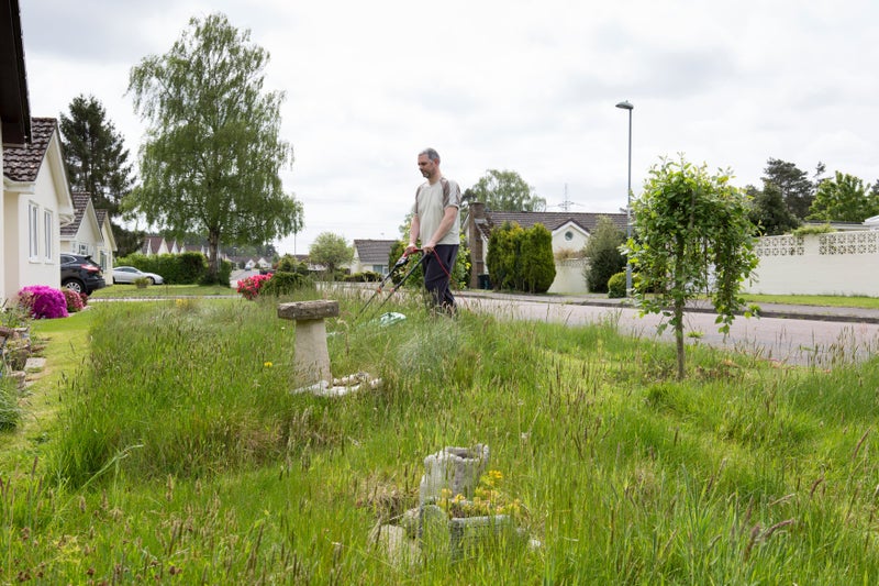A gardener mows a path with a lawn mower through long grass in a wildlife-friendly front garden in Verwood, Dorset