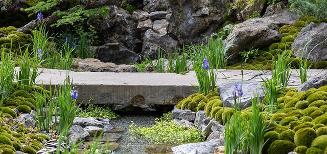 Kazuyuki Ishihara’s RHS Chelsea plants
