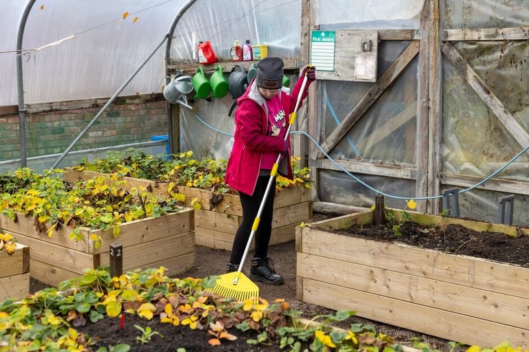 See other examples of wellbeing gardens