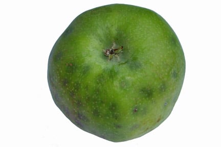 Bitter Pit in Apples: Prevention Tips | RHS Advice