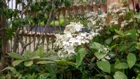 Thumbnail for slide 4