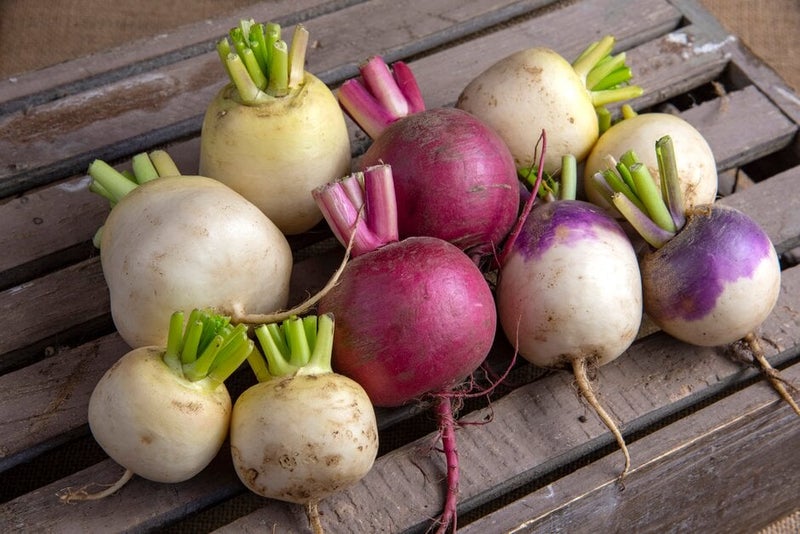 Prairie Turnips How to grow Turnips | RHS Guide
