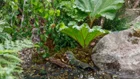 Thumbnail for slide 3