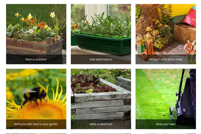 Start your gardening journey