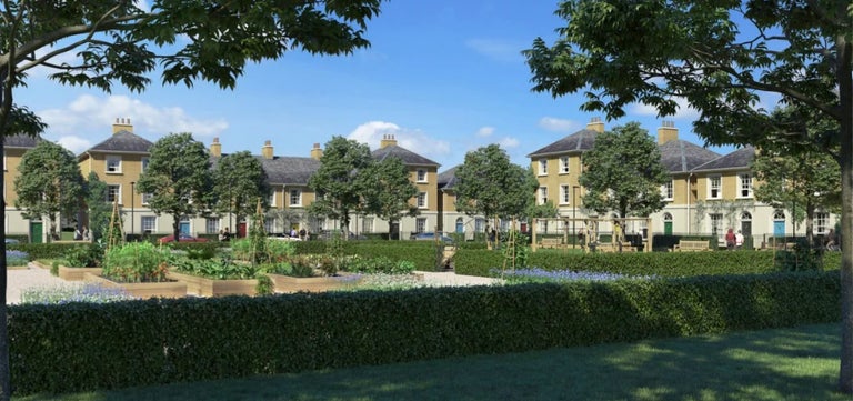Urban gardens strategy needed for new homes
