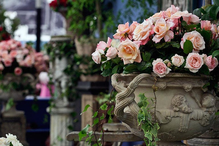 Book tickets to RHS Hampton Court 2025