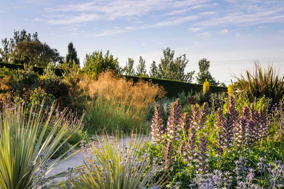 A path with flowers and plants