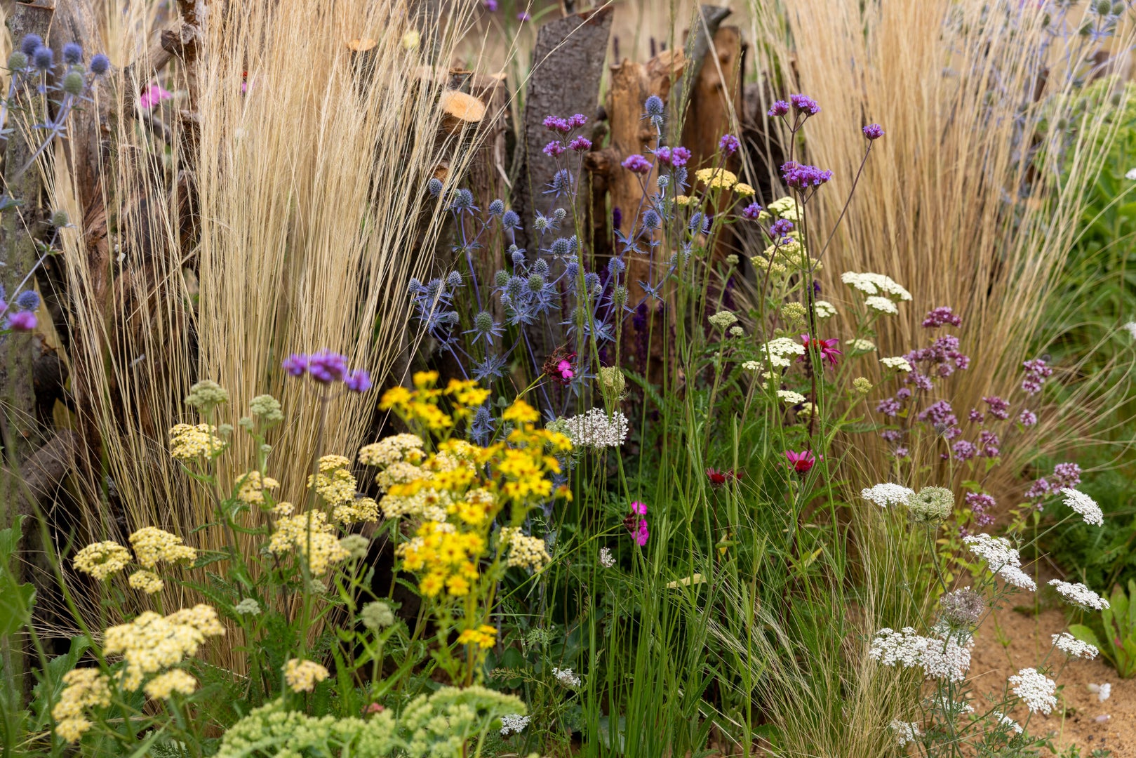 The Habitat Garden