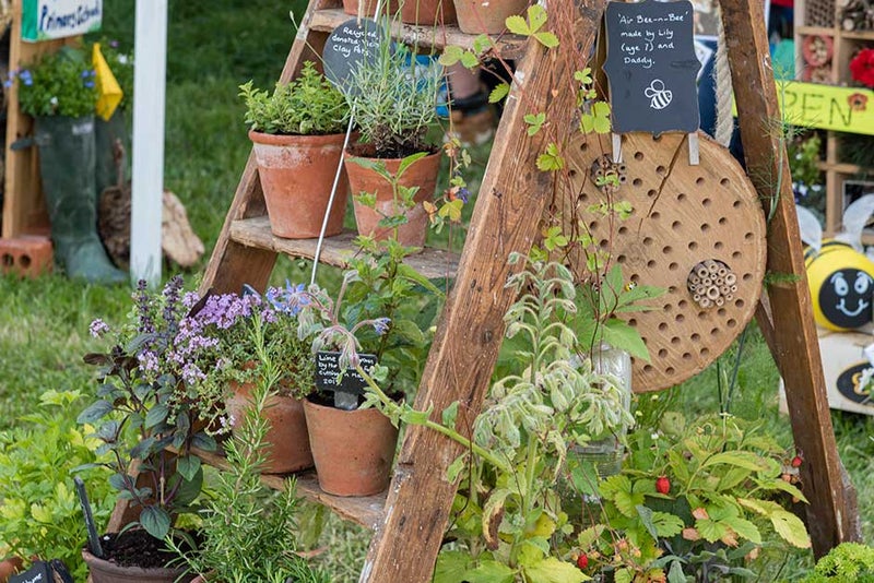 Bang on trend wooden ladder