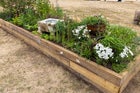 Thumbnail: Ladywell Physic Garden