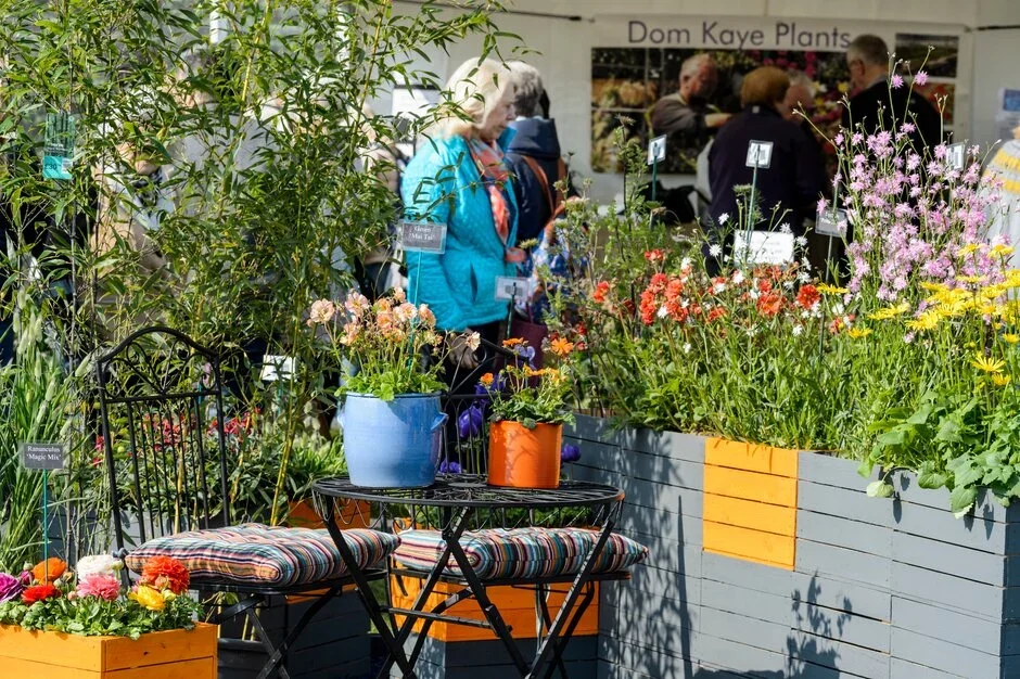 Dominic Kaye Plants