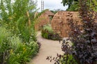 Thumbnail: RNIB Talking Books Garden