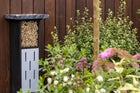 Thumbnail: Butterfly Sanctuary Garden