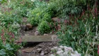 Thumbnail for slide 2