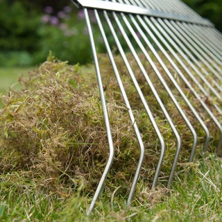 Flushed Rake Repairing Lawns: Reseeding and Returfing | RHS Advice