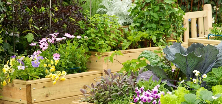 Five things to know about growing your own