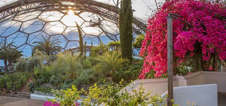 Meet the new 2026 RHS Partner Gardens