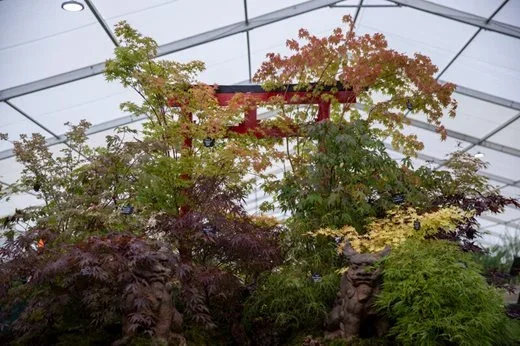 Brogues Gate Nursery