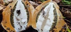 Thumbnail for slide 2