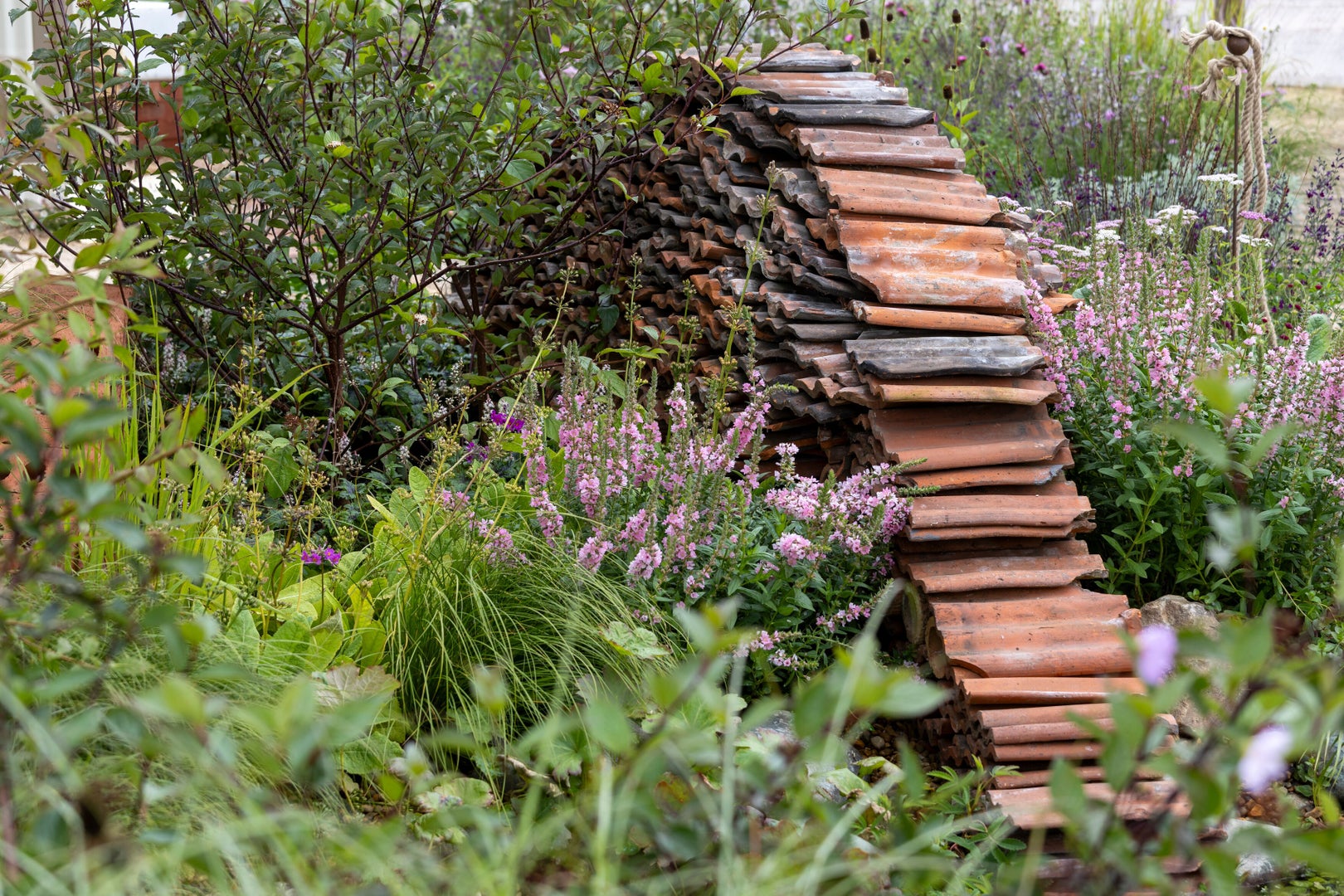 The RHS Pollywiggle Garden