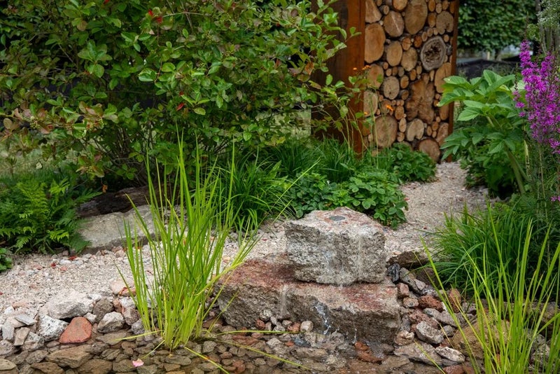 The Resilient Garden at RHS Hampton Court 2023