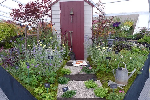 Tissington Nursery