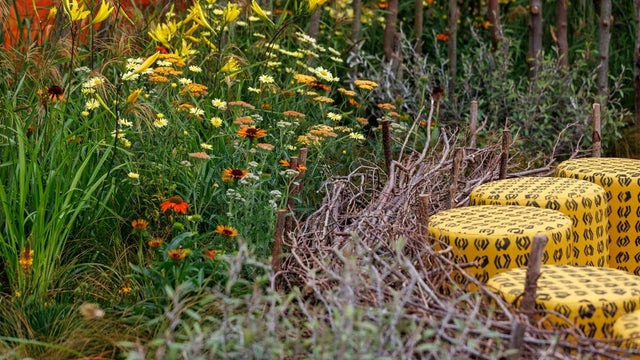 The Lion King Anniversary Garden