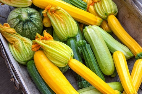 How to grow courgettes | RHS Guide