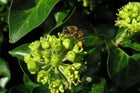 Thumbnail for slide 4