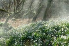 Thumbnail for slide 2