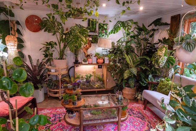 See the 2024 Houseplant Studios