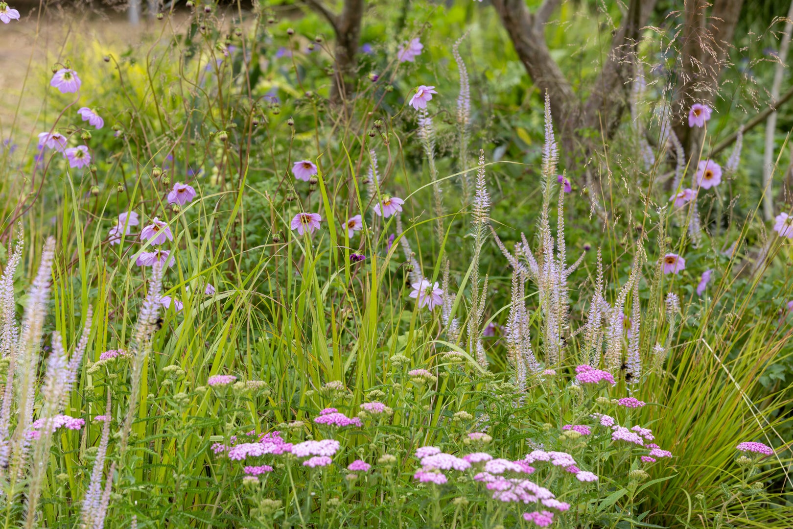 The RHS Pollywiggle Garden