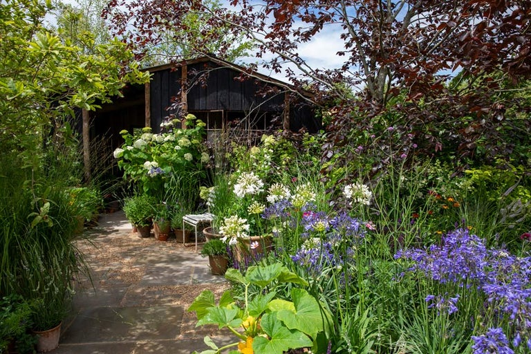 Book your tickets for RHS Hampton Palace Court Garden Festival 2024