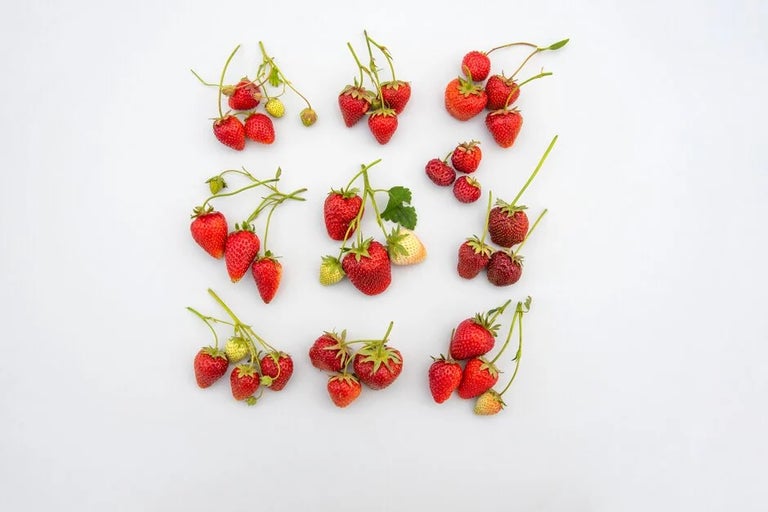 A transatlantic tango: the story of the strawberry