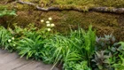 Thumbnail for slide 3